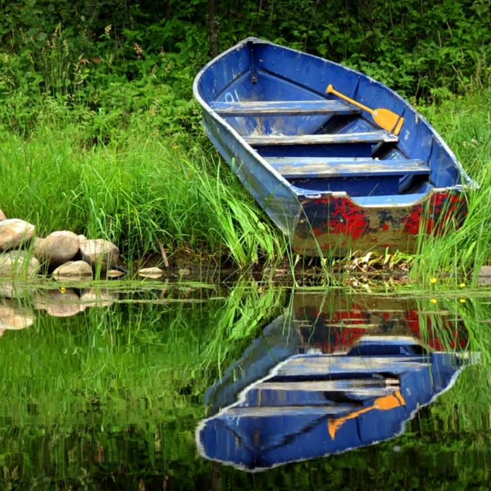 Meet your Posher, Cathy